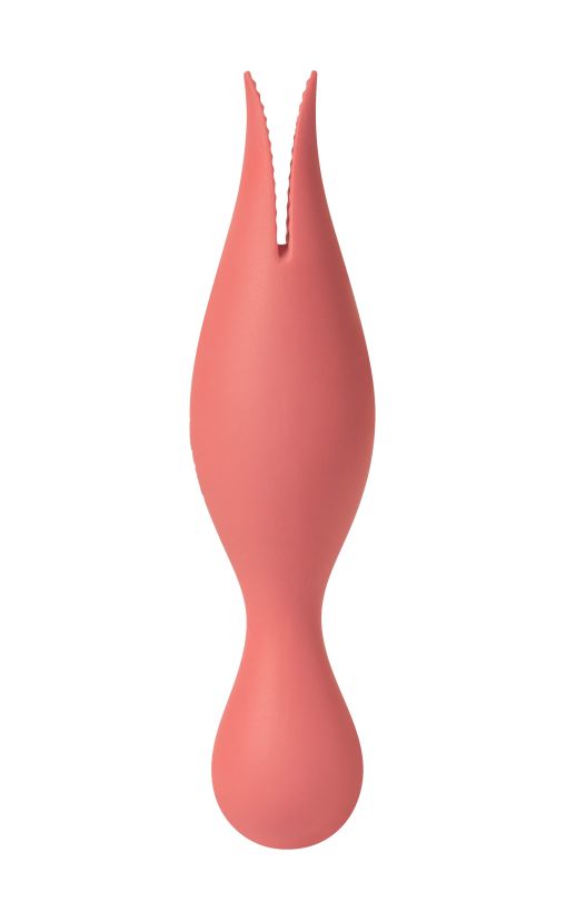    Siren Coral   