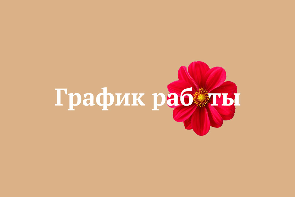 schedule_2026_2_site